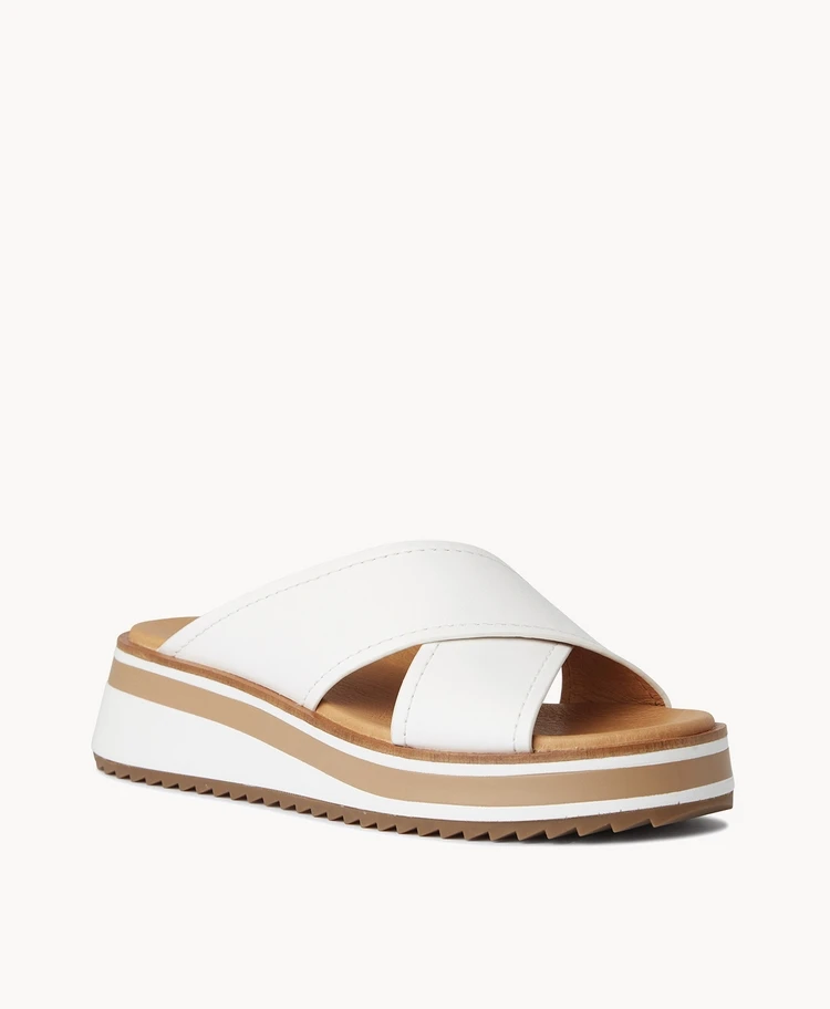 Spotty Slide 1 Spotty Slide